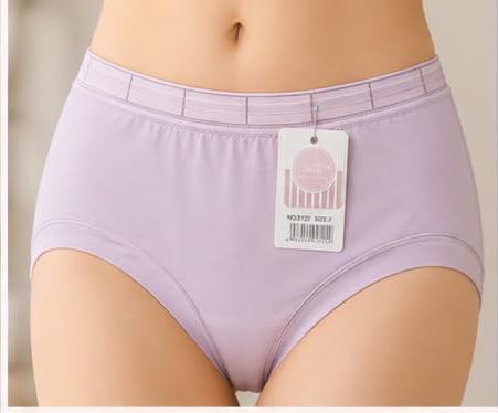 EL-VYN Secret Classic Cotton Comfort Brief