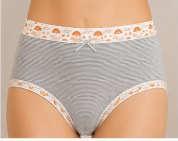 EL-VYN Secret Soft Cotton High-Waist Panty