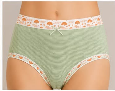 EL-VYN Secret Soft Cotton High-Waist Panty