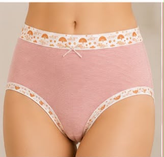 EL-VYN Secret Soft Cotton High-Waist Panty