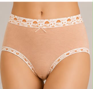 EL-VYN Secret Soft Cotton High-Waist Panty